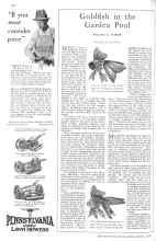 Better Homes & Gardens March 1929 Magazine Article: Goldfish in the Garden Pool