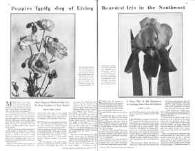 Better Homes & Gardens March 1929 Magazine Article: Page 20