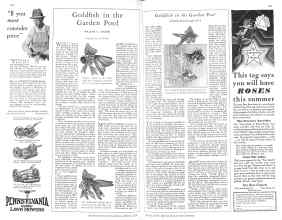 Better Homes & Gardens March 1929 Magazine Article: Page 102