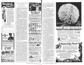 Better Homes & Gardens March 1929 Magazine Article: Page 136