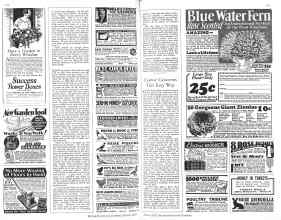 Better Homes & Gardens March 1929 Magazine Article: Page 152