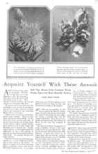 Better Homes & Gardens April 1929 Magazine Article: Acquaint Yourself With These Annuals