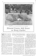 Better Homes & Gardens April 1929 Magazine Article: Ground Covers Add Grace to Every Garden