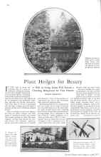 Better Homes & Gardens April 1929 Magazine Article: Plant Hedges for Beauty