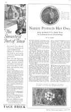 Better Homes & Gardens April 1929 Magazine Article: Nature Protects Her Own