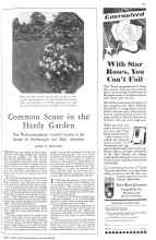 Better Homes & Gardens April 1929 Magazine Article: Common Sense in the Hardy Garden