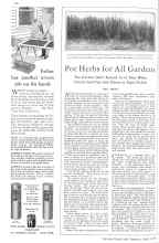 Better Homes & Gardens April 1929 Magazine Article: Pot Herbs for All Gardens