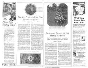 Better Homes & Gardens April 1929 Magazine Article: Page 88
