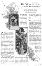 Better Homes & Gardens May 1929 Magazine Article: The Vines Are Gay Garden Adventurers