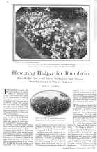 Better Homes & Gardens May 1929 Magazine Article: Flowering Hedges for Boundaries