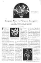 Better Homes & Gardens May 1929 Magazine Article: Prepare Now for Winter Bouquets