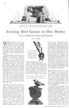 Better Homes & Gardens May 1929 Magazine Article: Inviting Bird Guests to Our Homes