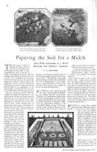 Better Homes & Gardens May 1929 Magazine Article: Papering the Soil for a Mulch