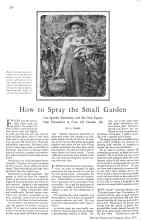 Better Homes & Gardens May 1929 Magazine Article: How to Spray the Small Garden