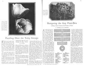 Better Homes & Gardens May 1929 Magazine Article: Page 24