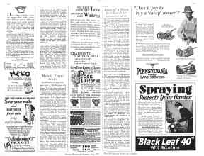 Better Homes & Gardens May 1929 Magazine Article: Page 148
