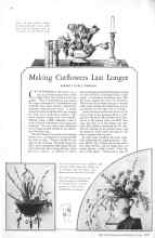 Better Homes & Gardens June 1929 Magazine Article: Making Cut flowers Last Longer