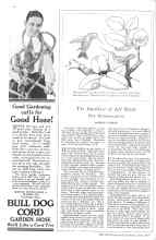 Better Homes & Gardens June 1929 Magazine Article: The Smallest of All Birds