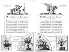 Better Homes & Gardens June 1929 Magazine Article: Page 14