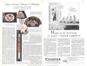 Better Homes & Gardens June 1929 Magazine Article: Page 28