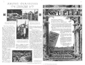 Better Homes & Gardens June 1929 Magazine Article: Page 52