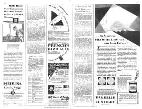 Better Homes & Gardens June 1929 Magazine Article: Page 60