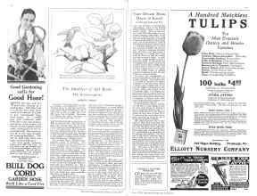 Better Homes & Gardens June 1929 Magazine Article: Page 88