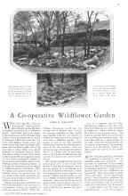 Better Homes & Gardens July 1929 Magazine Article: A Co-operative Wildflower Garden