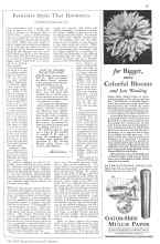 Better Homes & Gardens July 1929 Magazine Article: 