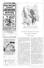 Better Homes & Gardens July 1929 Magazine Article: Favorite Feathered Friends