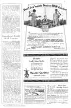 Better Homes & Gardens July 1929 Magazine Article: Remarkable Results With Tomatoes