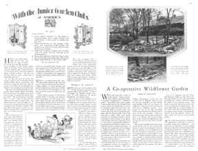 Better Homes & Gardens July 1929 Magazine Article: Page 16
