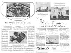 Better Homes & Gardens July 1929 Magazine Article: Page 30