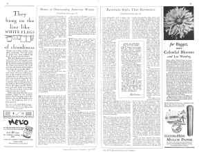 Better Homes & Gardens July 1929 Magazine Article: Page 44