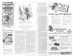 Better Homes & Gardens July 1929 Magazine Article: Page 68
