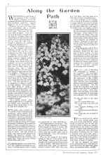 Better Homes & Gardens August 1929 Magazine Article: Along the Garden Path