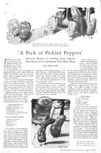 Better Homes & Gardens August 1929 Magazine Article: 