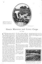 Better Homes & Gardens August 1929 Magazine Article: Green Manures and Cover Crops