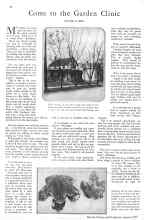 Better Homes & Gardens August 1929 Magazine Article: Come to the Garden Clinic