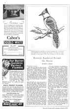 Better Homes & Gardens August 1929 Magazine Article: Favorite Feathered Friends