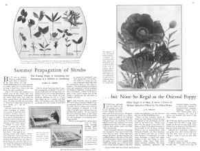 Better Homes & Gardens August 1929 Magazine Article: Page 16