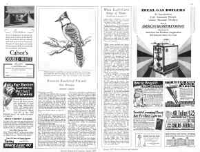 Better Homes & Gardens August 1929 Magazine Article: Page 68