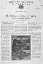 Better Homes & Gardens September 1929 Magazine Article: The Galaxy of Bulbs for Spring