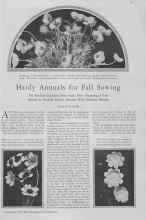 Better Homes & Gardens September 1929 Magazine Article: Hardy Annuals for Fall Sowing