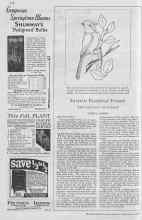 Better Homes & Gardens September 1929 Magazine Article: Favorite Feathered Friends