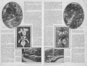 Better Homes & Gardens September 1929 Magazine Article: Page 14