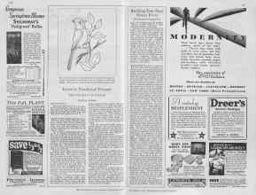 Better Homes & Gardens September 1929 Magazine Article: Page 116