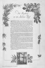 Better Homes & Gardens October 1929 Magazine Article: The Mystery in an Autumn Leaf