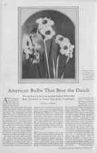 Better Homes & Gardens October 1929 Magazine Article: American Bulbs That Beat the Dutch