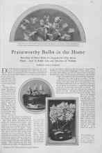 Better Homes & Gardens October 1929 Magazine Article: Praiseworthy Bulbs in the Home